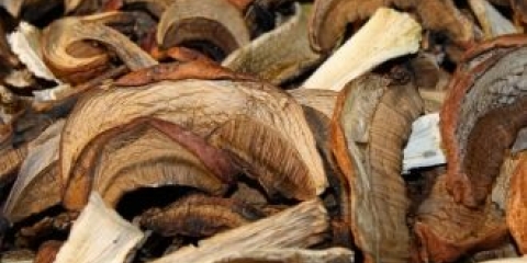 Kako sušiti vrganje kod kuće